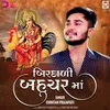 About Birdavadi Bahuchar Maa Song